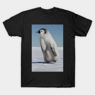 Emperor chick T-Shirt